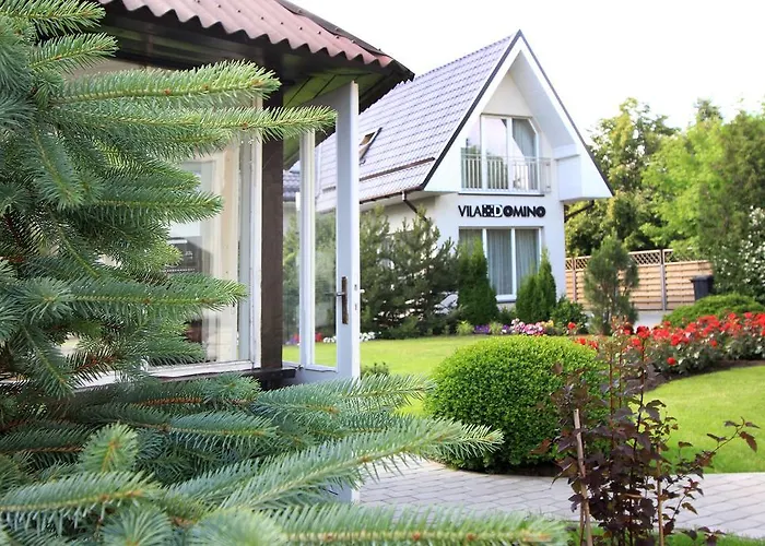 Domino * פלאנגה