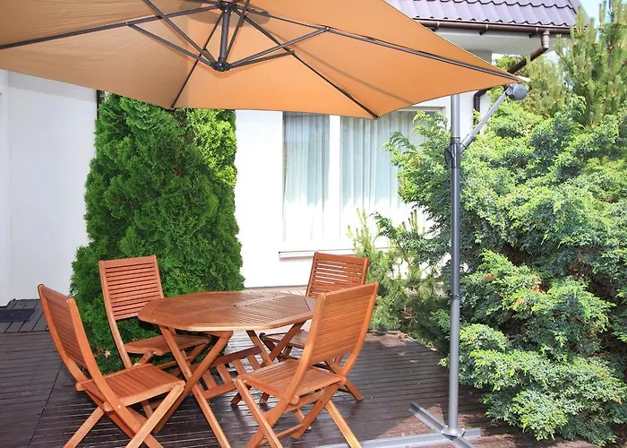 Domino Паланга