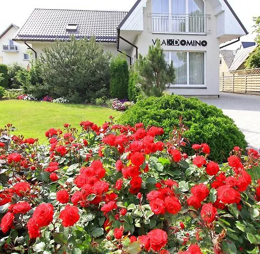 Domino Паланга