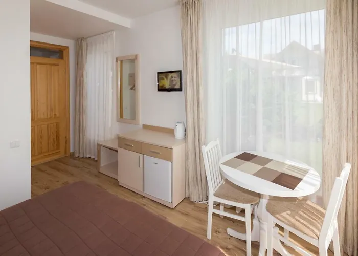 Domino Паланга