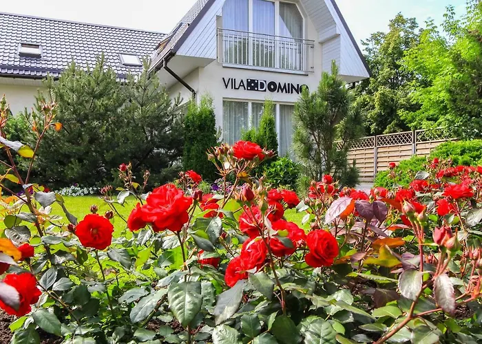 Domino Паланга